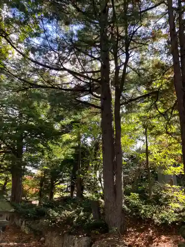芽生神社(北海道)
