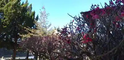 武蔵第六天神社(埼玉県)