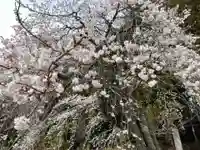 北野神社(福島県)