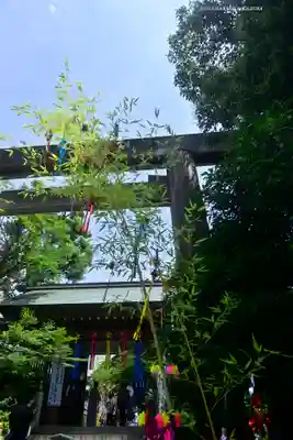 東京大神宮(東京都)