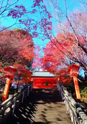 穴八幡宮(東京都)