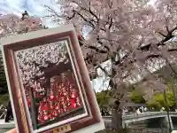 勝尾寺の{uncategorized: "未分類", other: "その他", undefined: "問題あり", building: "その他建物", grave: "お墓", sacred_gate: "鳥居", guardian: "狛犬", statue: "像", buddha: "仏像", history: "歴史", nature: "自然", garden: "庭園", animal: "動物", pagoda: "塔", temizu: "手水舎", mountain_gate: "山門・神門", sanctuary: "本殿・本堂", subordinate: "末社・摂社", art: "芸術", scenery: "景色", jizo: "地蔵", ema: "絵馬", goshuin: "御朱印", omikuji: "おみくじ", items: "授与品その他", amulet: "お守り", goshuincho: "御朱印帳", eats: "食事", festival: "お祭り", votive_dance: "神楽", shichigosan: "七五三参", wedding: "結婚式", experience: "体験その他", initially: "初詣", around: "周辺", anti_infection: "感染症対策"}