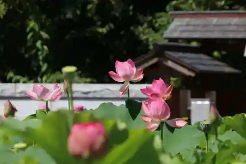 長照寺の庭園