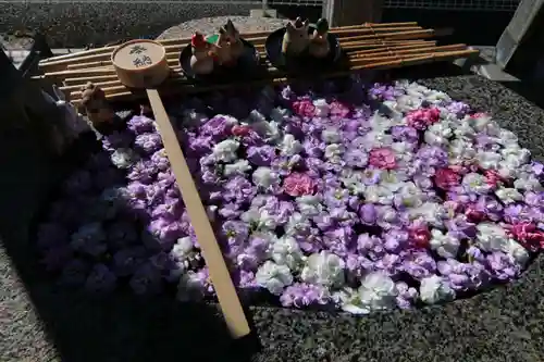 阿邪訶根神社の手水