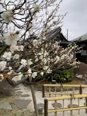 星谷寺(神奈川県)