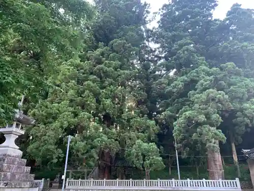 大洲七椙神社(長野県)