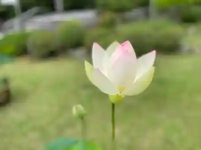 久遠寺(山梨県)