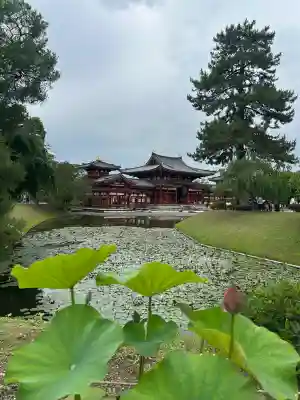平等院(京都府)
