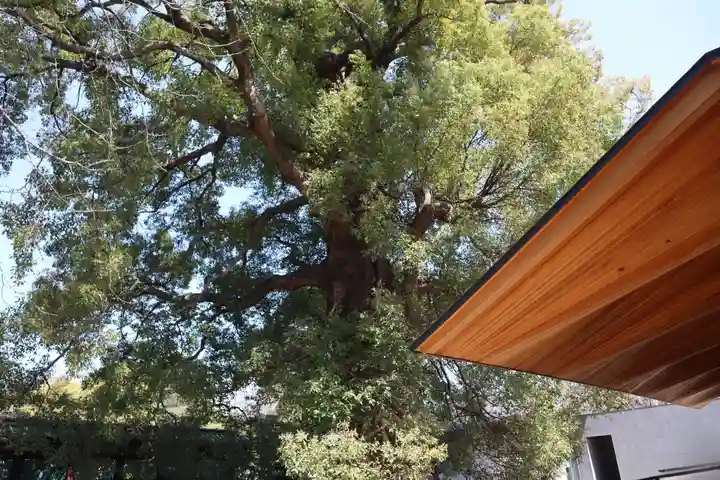 上野東照宮(東京都)