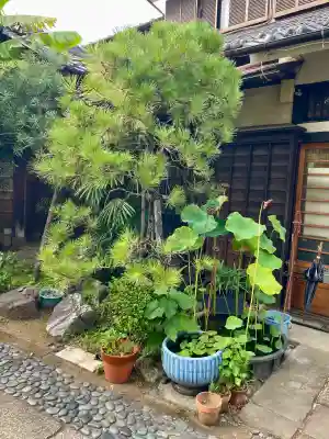洞雲寺(東京都)