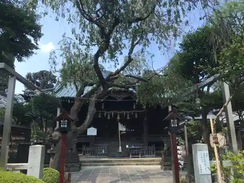 白山神社の本殿・本堂