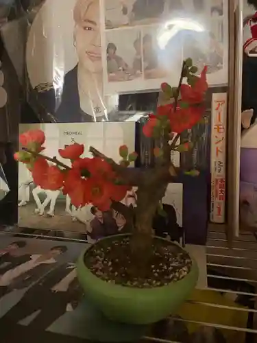 石切劔箭神社上之社のその他建物