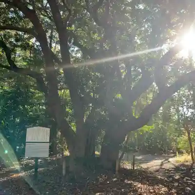 鹿島神社(和歌山県)