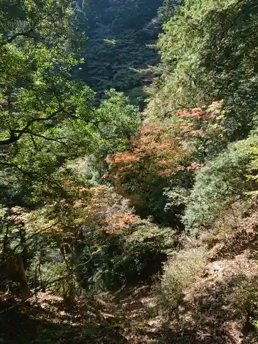 大山阿夫利神社の自然