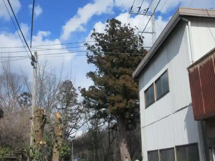 大徳院(埼玉県)