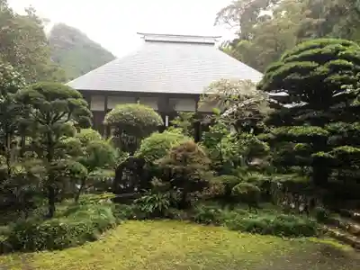 吐月峰柴屋寺の庭園