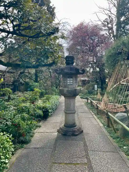 無量寺の{uncategorized: "未分類", other: "その他", undefined: "問題あり", building: "その他建物", grave: "お墓", sacred_gate: "鳥居", guardian: "狛犬", statue: "像", buddha: "仏像", history: "歴史", nature: "自然", garden: "庭園", animal: "動物", pagoda: "塔", temizu: "手水舎", mountain_gate: "山門・神門", sanctuary: "本殿・本堂", subordinate: "末社・摂社", art: "芸術", scenery: "景色", jizo: "地蔵", ema: "絵馬", goshuin: "御朱印", omikuji: "おみくじ", items: "授与品その他", amulet: "お守り", goshuincho: "御朱印帳", eats: "食事", festival: "お祭り", votive_dance: "神楽", shichigosan: "七五三参", wedding: "結婚式", experience: "体験その他", initially: "初詣", around: "周辺", anti_infection: "感染症対策"}