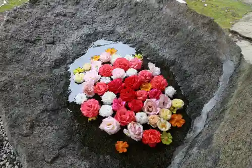 田村神社の手水