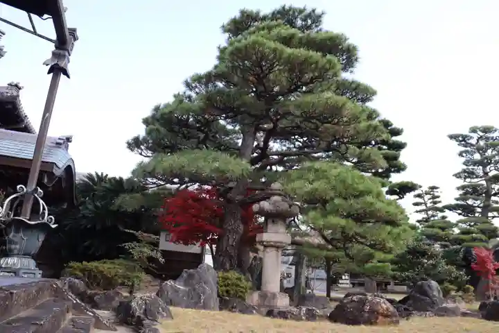 無量光寺(和歌山県)