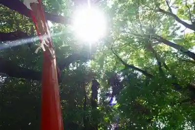 廣瀬大社のその他建物