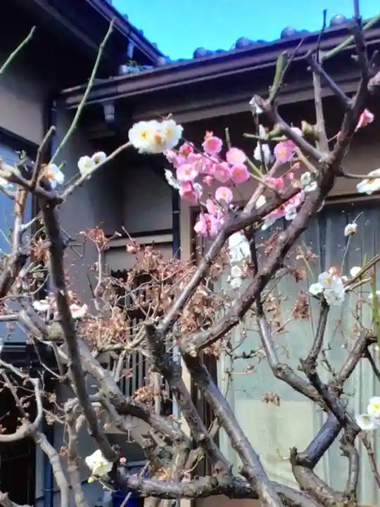 田端神社(東京都)