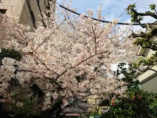 秋葉神社の自然