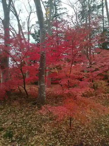 高音寺(宮城県)