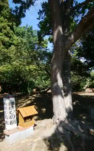 松前神社の自然