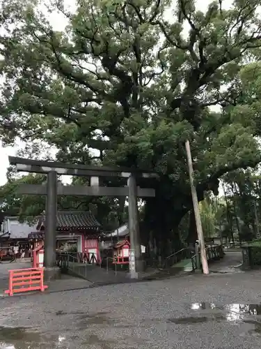 山宮神社の鳥居