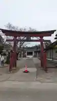 古尾谷八幡神社(埼玉県)