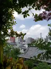 須賀神社の景色