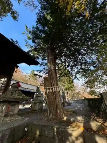 碓氷峠熊野神社(群馬県)