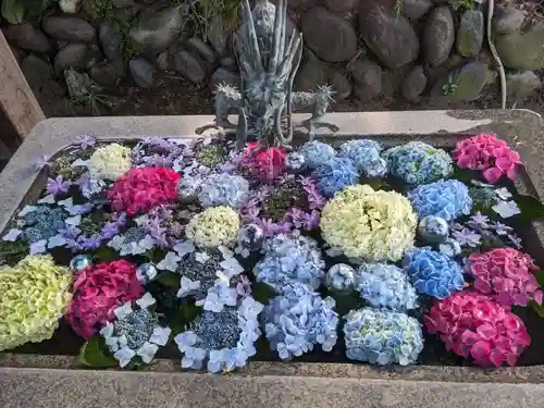 無量寿院宝禅寺の御朱印