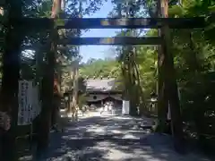 椿大神社の鳥居