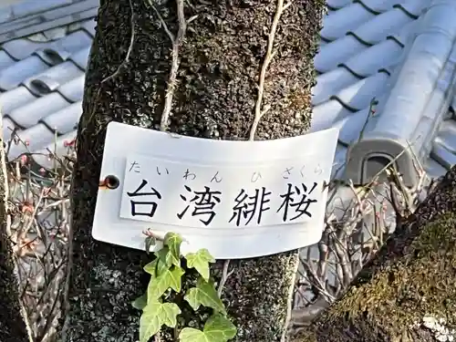 密藏院(埼玉県)