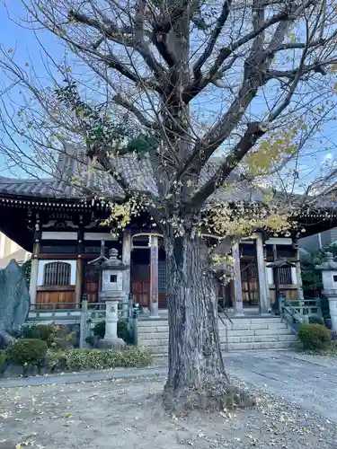 浄蓮寺(神奈川県)