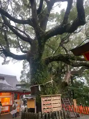 熊野那智大社(和歌山県)