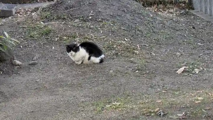 五字神社(大阪府)