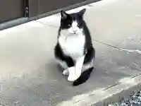 弁天様と山の神(三重県)