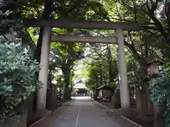 ときわ台天祖神社(東京都)