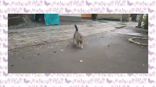 小野照崎神社(東京都)