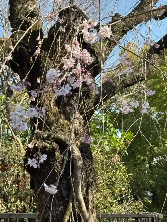 穴八幡宮の{uncategorized: "未分類", other: "その他", undefined: "問題あり", building: "その他建物", grave: "お墓", sacred_gate: "鳥居", guardian: "狛犬", statue: "像", buddha: "仏像", history: "歴史", nature: "自然", garden: "庭園", animal: "動物", pagoda: "塔", temizu: "手水舎", mountain_gate: "山門・神門", sanctuary: "本殿・本堂", subordinate: "末社・摂社", art: "芸術", scenery: "景色", jizo: "地蔵", ema: "絵馬", goshuin: "御朱印", omikuji: "おみくじ", items: "授与品その他", amulet: "お守り", goshuincho: "御朱印帳", eats: "食事", festival: "お祭り", votive_dance: "神楽", shichigosan: "七五三参", wedding: "結婚式", experience: "体験その他", initially: "初詣", around: "周辺", anti_infection: "感染症対策"}