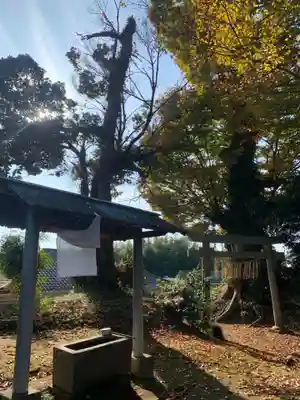 天満宮(千葉県)