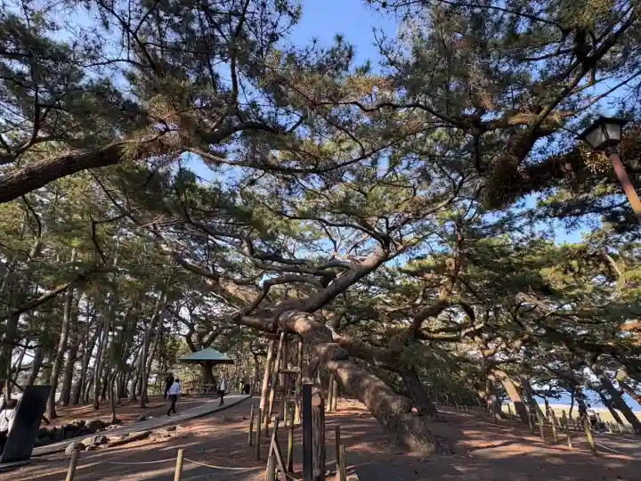 御穂神社の{uncategorized: "未分類", other: "その他", undefined: "問題あり", building: "その他建物", grave: "お墓", sacred_gate: "鳥居", guardian: "狛犬", statue: "像", buddha: "仏像", history: "歴史", nature: "自然", garden: "庭園", animal: "動物", pagoda: "塔", temizu: "手水舎", mountain_gate: "山門・神門", sanctuary: "本殿・本堂", subordinate: "末社・摂社", art: "芸術", scenery: "景色", jizo: "地蔵", ema: "絵馬", goshuin: "御朱印", omikuji: "おみくじ", items: "授与品その他", amulet: "お守り", goshuincho: "御朱印帳", eats: "食事", festival: "お祭り", votive_dance: "神楽", shichigosan: "七五三参", wedding: "結婚式", experience: "体験その他", initially: "初詣", around: "周辺", anti_infection: "感染症対策"}
