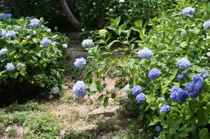 観音正寺(滋賀県)