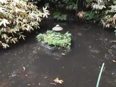 岩殿寺(神奈川県)