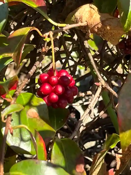 關蝉丸神社下社(滋賀県)