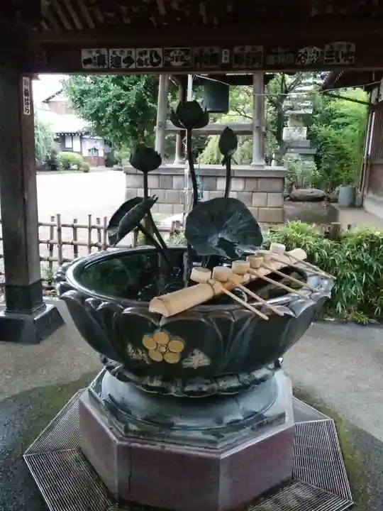 新井薬師(梅照院)(東京都)
