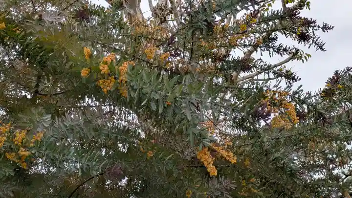 大松禅寺(京都府)
