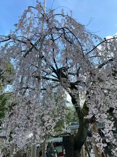 大國魂神社(東京都)